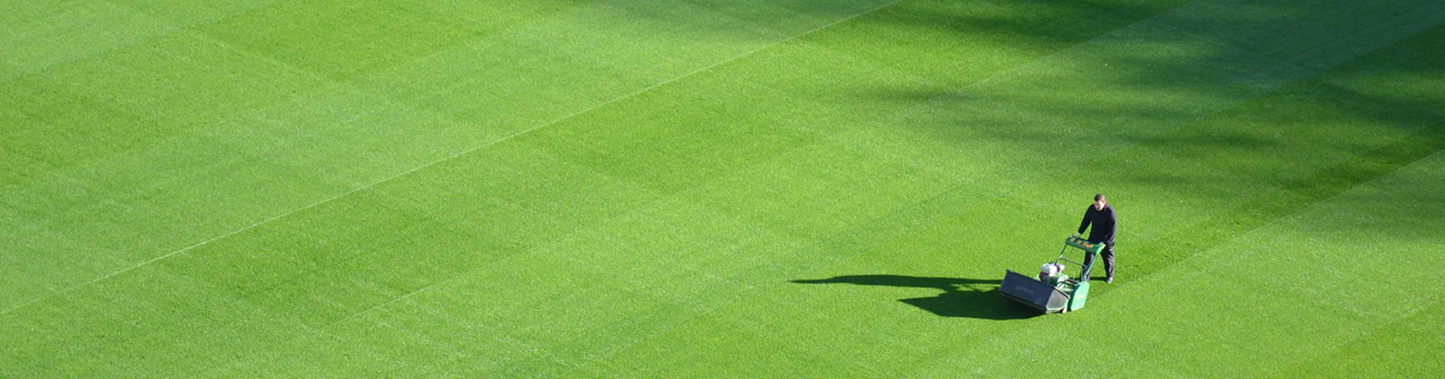 Certificate III in Sports Turf Management