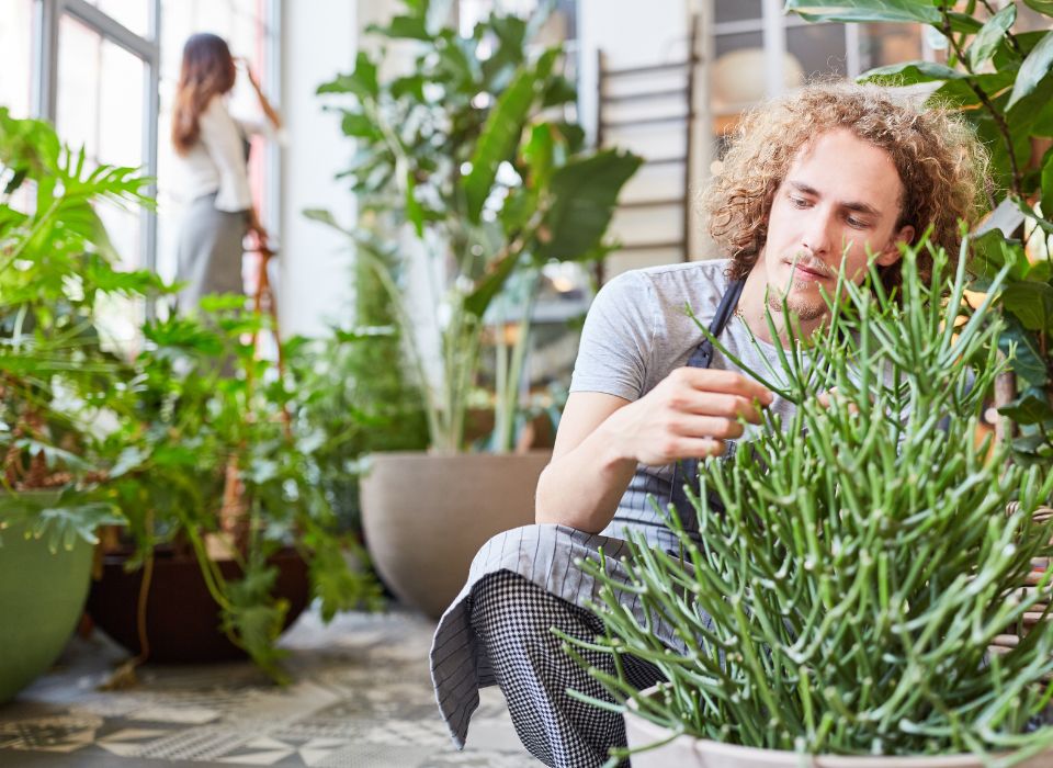 horticulture apprentice